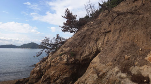 DSC01826.jpg