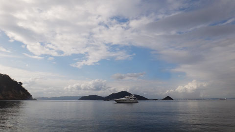DSC01838.jpg