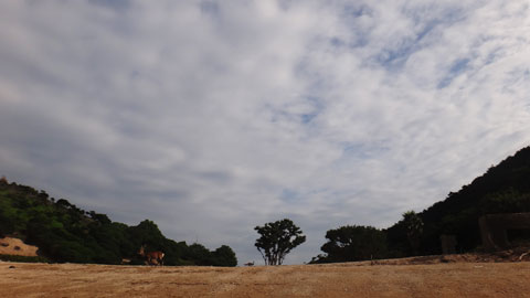 DSC01869.jpg