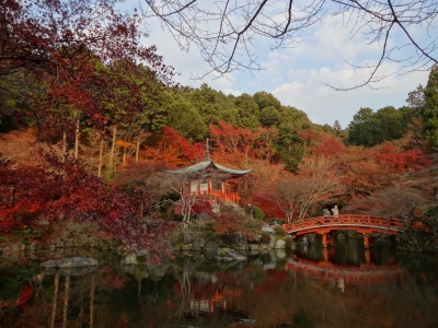 静岡 キャバクラ 美悠庭>