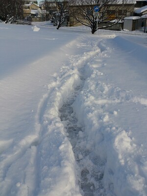picsay-1391940521.jpg