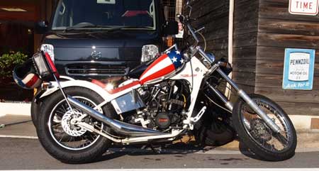 ☆ Barkbox Customers Motorcycle ☆ | New BARKBOX Blog