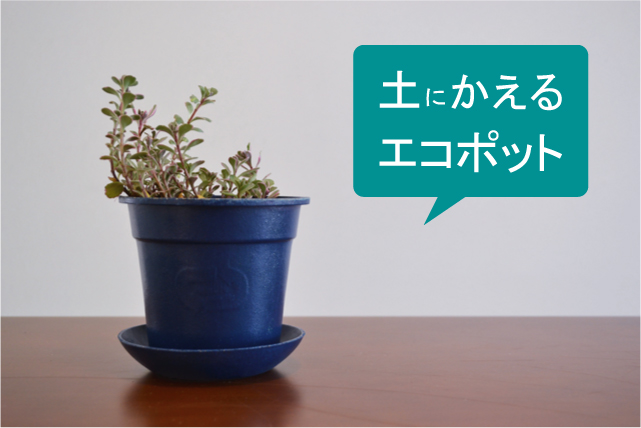 ビオポット.jpg