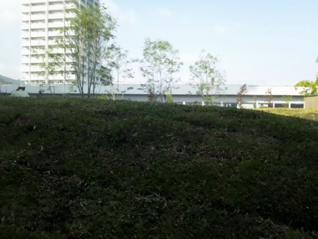 屋上庭園