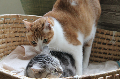 20150623_1305158.jpg
