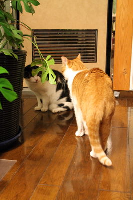20130906_455894.jpg