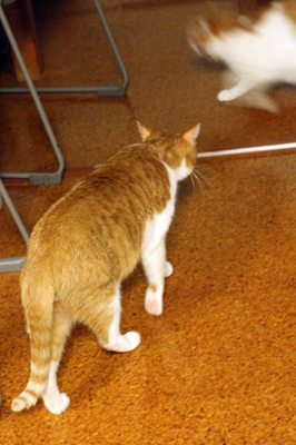 20130827_441040.jpg