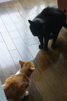 20130626_342218.jpg
