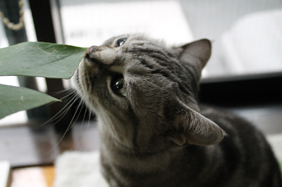 20141028_1032724.jpg