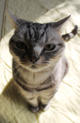 20141121_1063886.jpg