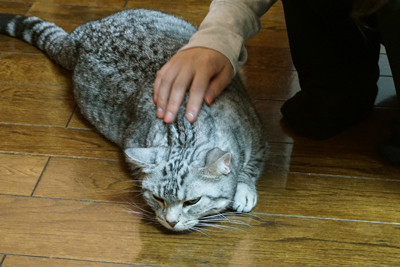 DSC02931.JPG