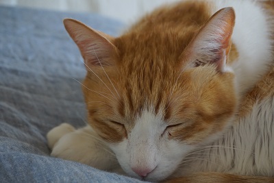 DSC02894.JPG