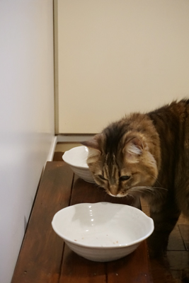 DSC03043.JPG