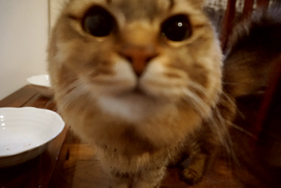 DSC03044.JPG