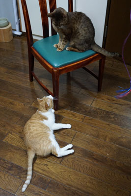 DSC03883.JPG