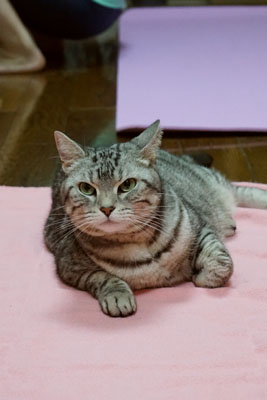 DSC03924.JPG