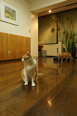 DSC03951.JPG