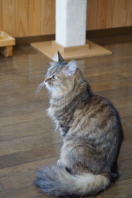 DSC05888.JPG