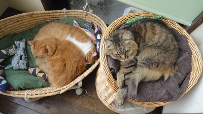 DSC00078.JPG