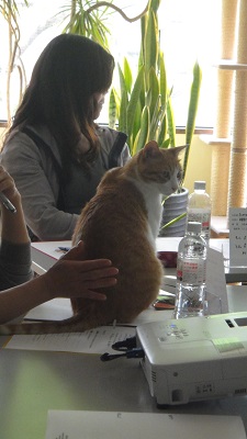 DSC00087.JPG