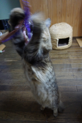 DSC06561.JPG