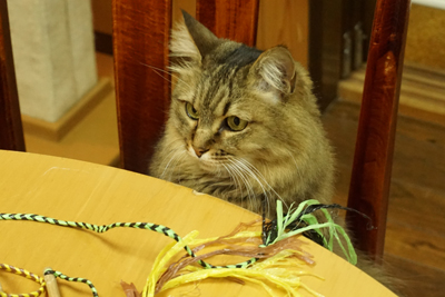 DSC06578.JPG