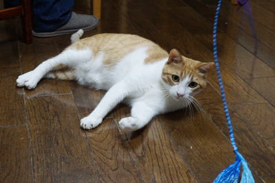 DSC06597.JPG