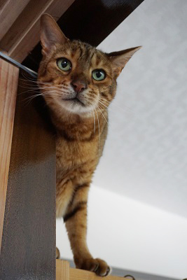DSC09022.JPG