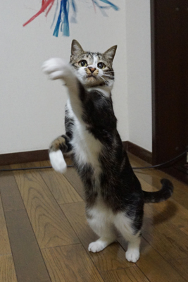 DSC08879.JPG