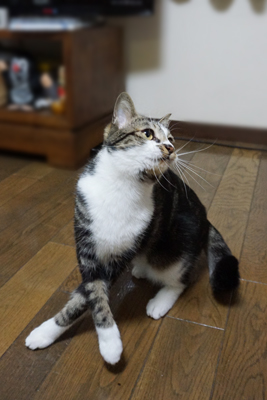 DSC08920.JPG