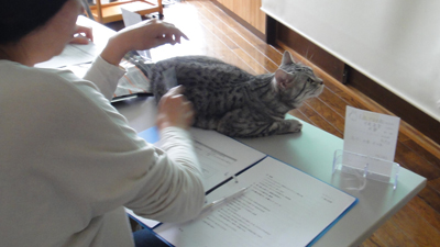 DSC00322.JPG