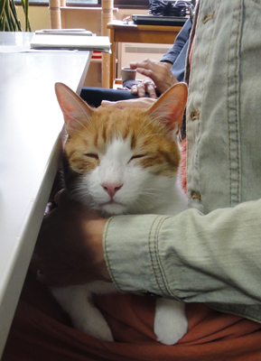 DSC00335.JPG