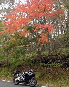 紅葉狩り