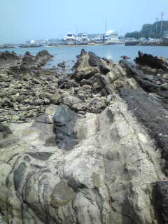 Image496.jpg