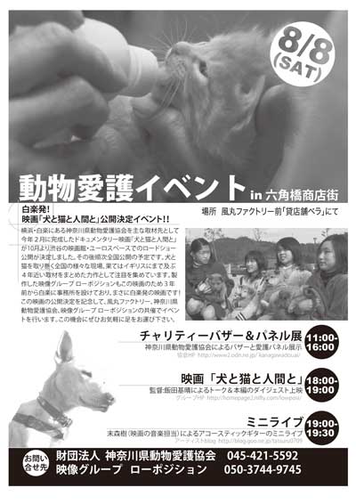 夏猫祭イベントチラシ