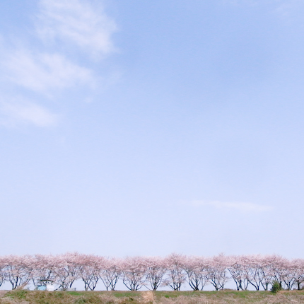 20110411-_0011451.jpg