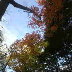 2012110511440001.jpg