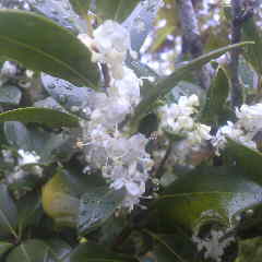 2012111209170000.jpg