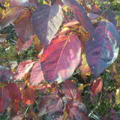2012112215160000.jpg