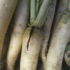 2012120314040000.jpg