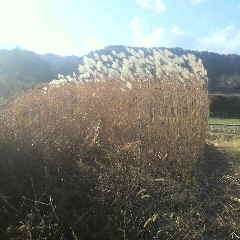 2012120713580000.jpg