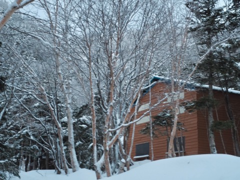 image1.JPG