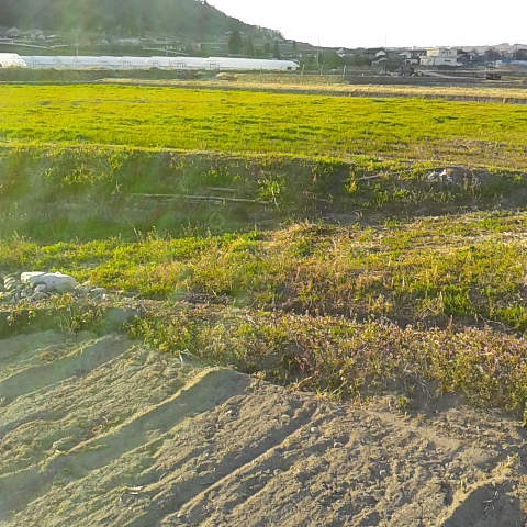2019032417050000.jpg