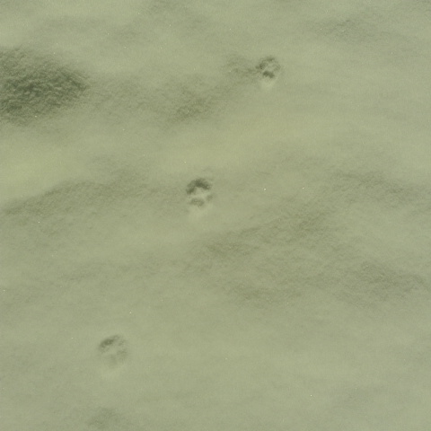 2019050508200001.jpg