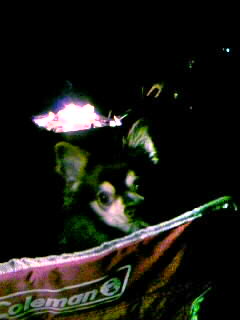 091010_202009~000.JPG