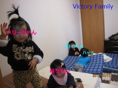 vf