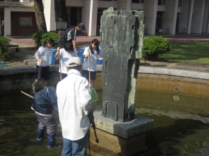 公会堂の池掃除