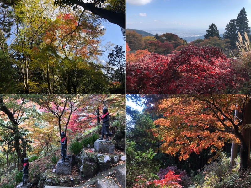 伊勢原市　大山登山