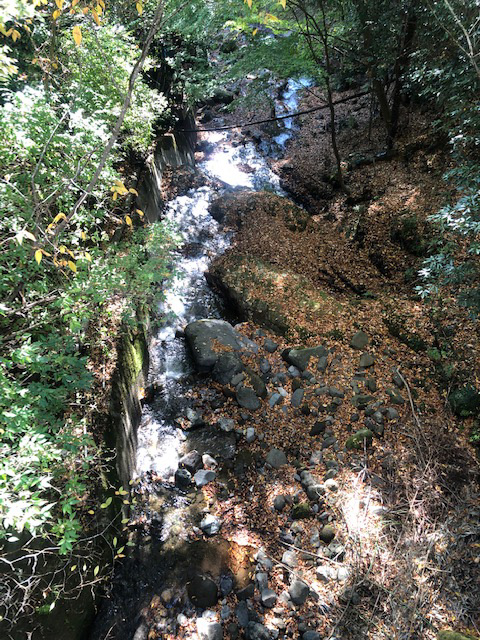 伊勢原市　大山登山