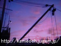 ¤³¡¼¤æ¡¼¤Î¤Ë¼å¤¤